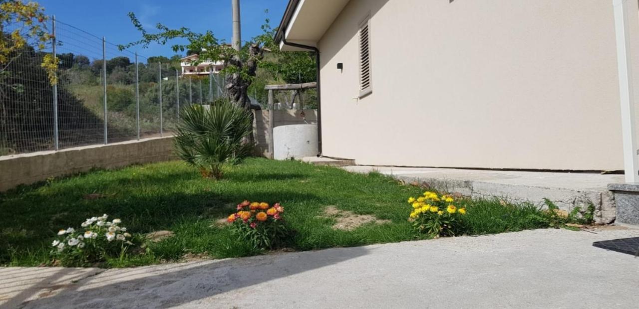 Villa Alice Capo Vaticano Bagian luar foto