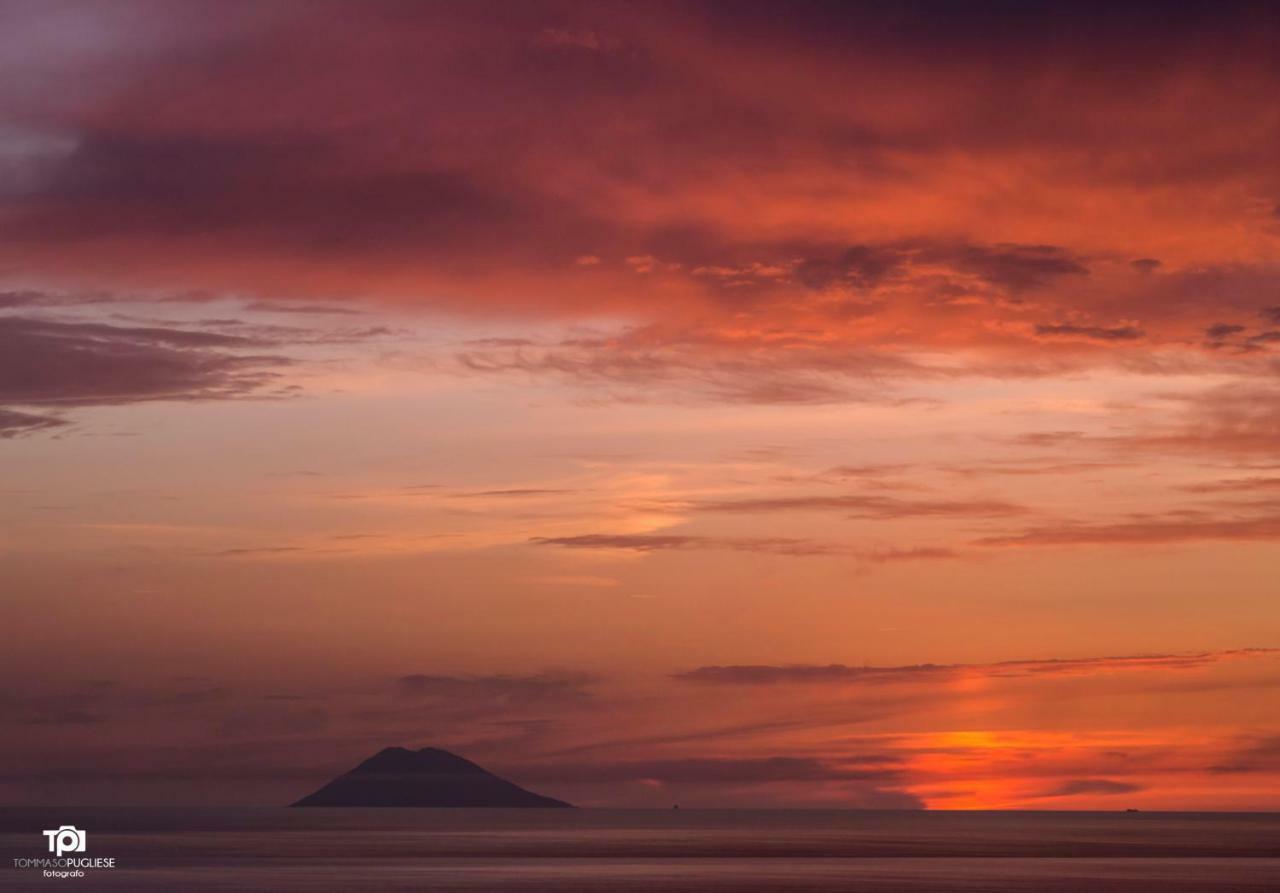 Villa Alice Capo Vaticano Bagian luar foto