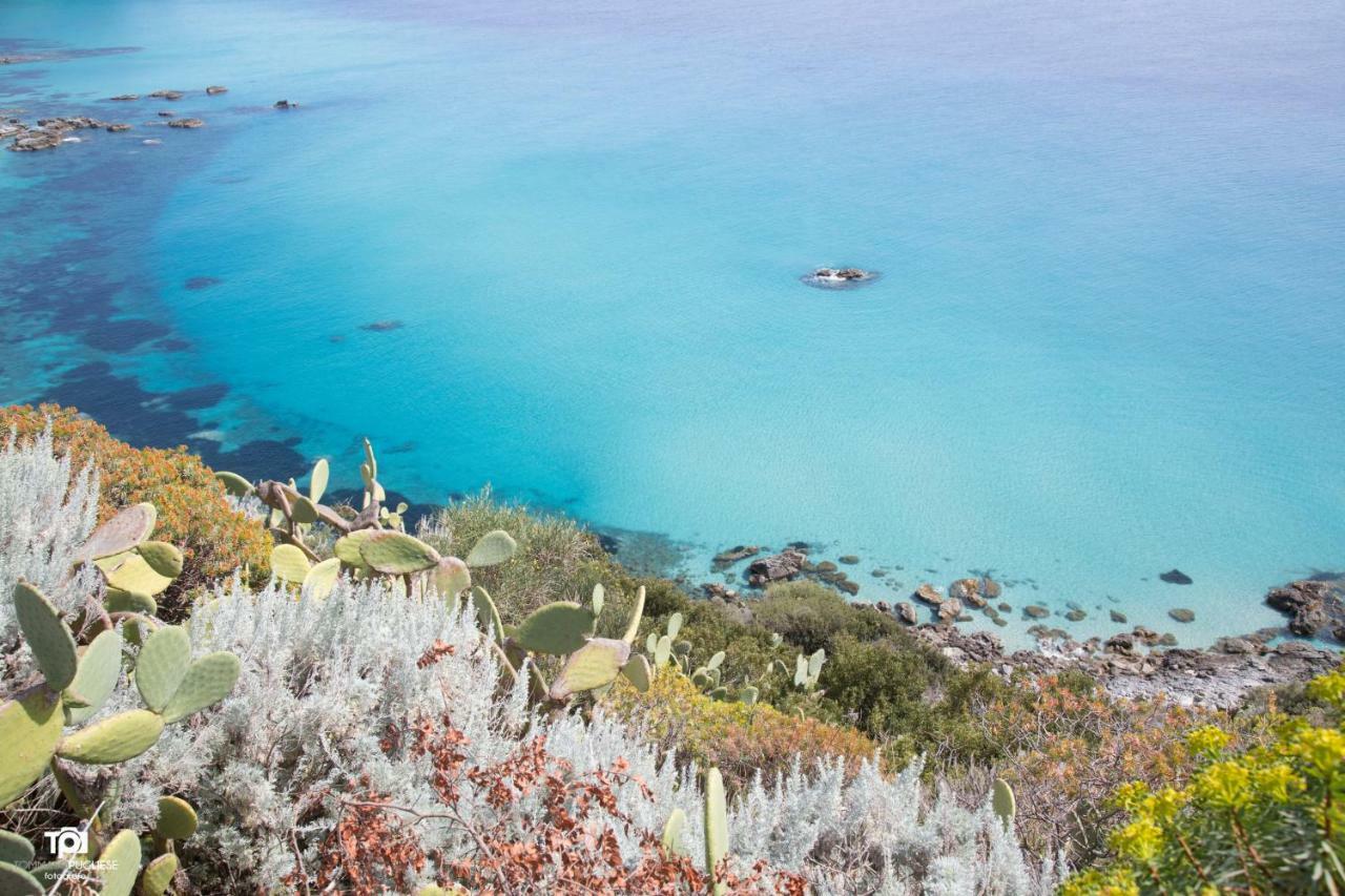 Villa Alice Capo Vaticano Bagian luar foto